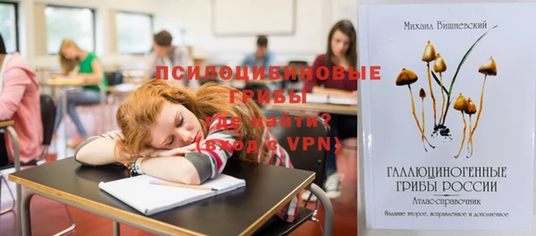 mdpv Снежинск