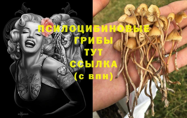 кокаин перу Снежногорск