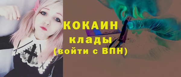 mdpv Снежинск