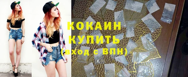 mdpv Снежинск