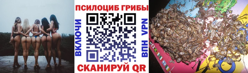 Галлюциногенные грибы мицелий  Фатеж 